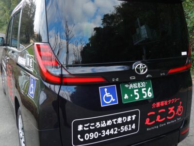 桜が見ごろになりました